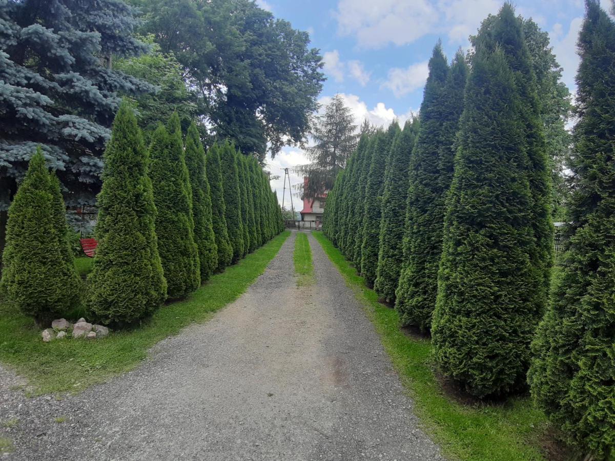 Chata W Banskiej Banska Nizna Buitenkant foto